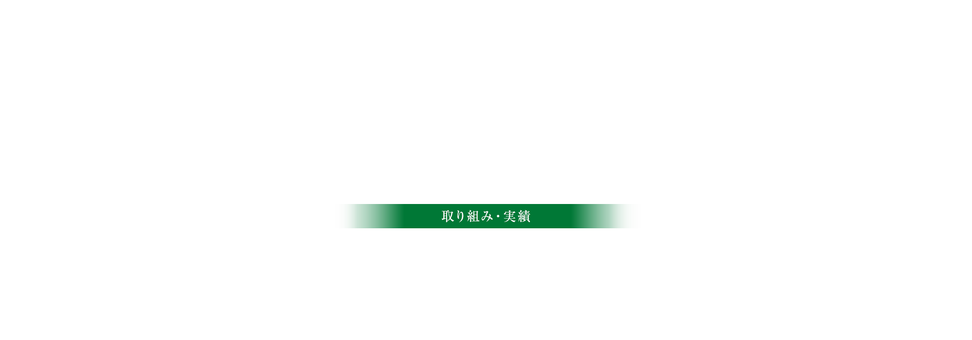 取り組み・実績